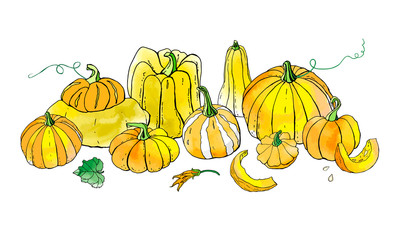 Yellow orange autumn pumpkins. Fall harvest. Cute cartoons with watercolor texture. Halloween, thanksgiving. Food background. Hand drawn design elements. For postcards, greetings, cards, logo. 