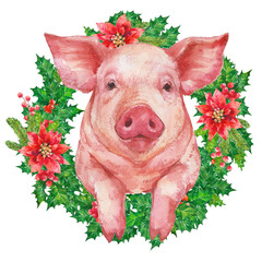Cute pink pig with green Holly Christmas Wreath. Watercolor illustration on white background