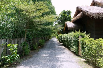 Road in the forest with sunshine, travel on natural concept, Space for text in template, Covered with trees