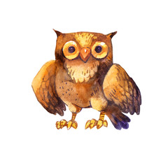 Watercolor owl cartoon illustration, isolated on white background