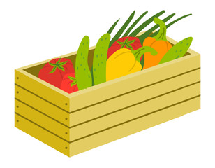 Box of harvest products, vegetables tomato, cucumber and onion, bell pepper healthy food. Wooden case with vegetarian food, farm element, harvesting vector
