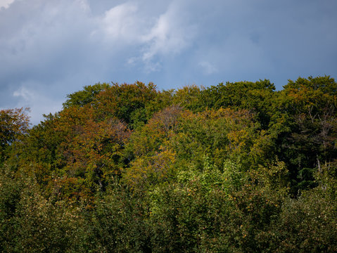 Wolking-Bilder: Stock-Fotos & -Videos. | Adobe Stock