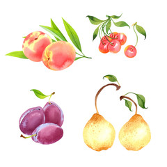 Isolated watercolor fruits set on white background: peach, cherry, plum, pear