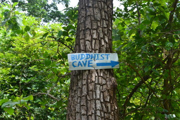 wooden sign in the forest