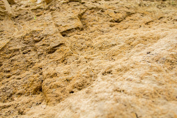 sand wall cose up