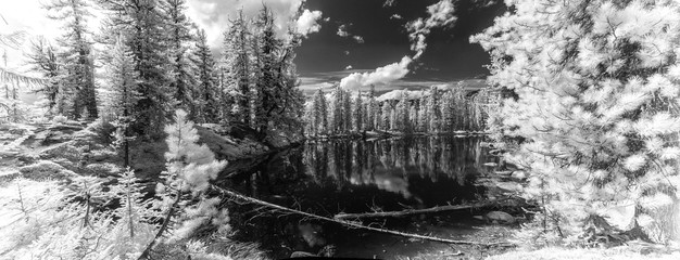 infrared forest with clouds, sky and mountains