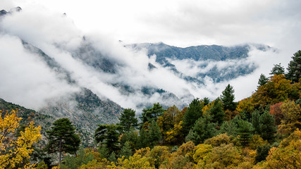 La vallée dans la brume