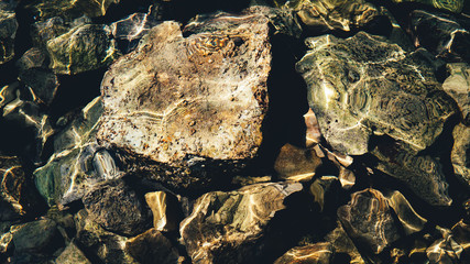 Stones in water. Croatia, Brijuni