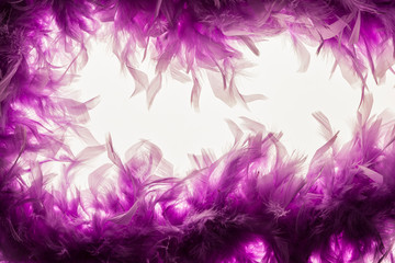 Fototapeta na wymiar purple Fether Background