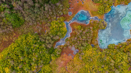 Abstract Pattern in Nature. Aerial Drone View at Beautiful Autumn Folliage