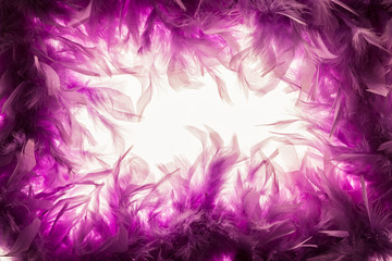 Fototapeta na wymiar purple Fether Background