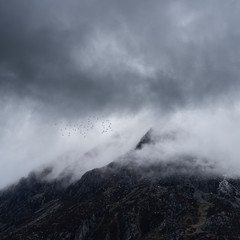 Stunning detail landscape images of snowcapped Pen Yr Ole Wen mountain in Snowdonia during dramatic moody Winter storm with birds flying high above