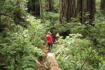 Obraz premium woman on fallen tree