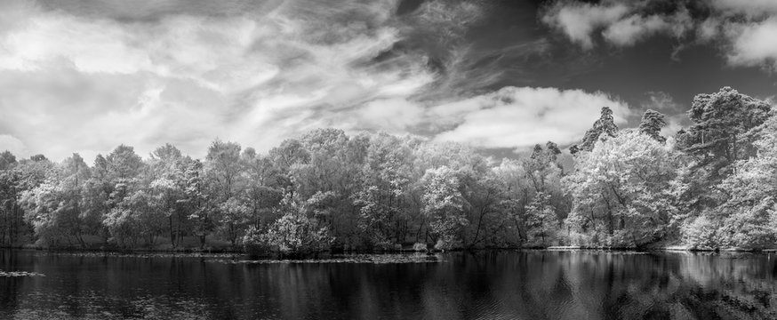 Stunning black and white infra red Summer landscape of lake and woodland in English countryside © veneratio
