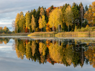 beautiful, gorgeous and colorful trees on an autumn day, wonderful autumn landscape with gorgeous and colorful trees by the water, beautiful reflections in the water