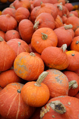 Orange pumpkins in a market close-up