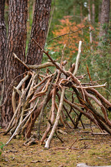 A kind of simple hut made by children out of wood and branches from the forest in the autumn forest in Germany