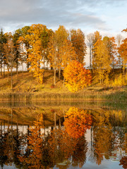 beautiful, gorgeous and colorful trees on an autumn day, wonderful autumn landscape with gorgeous and colorful trees by the water, beautiful reflections in the water