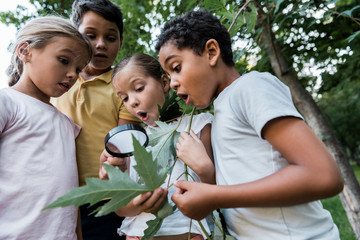 Shocked multicultural children looking at green leaves though magnifier