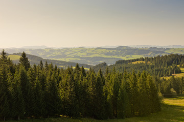 Landscape with forest mountains.