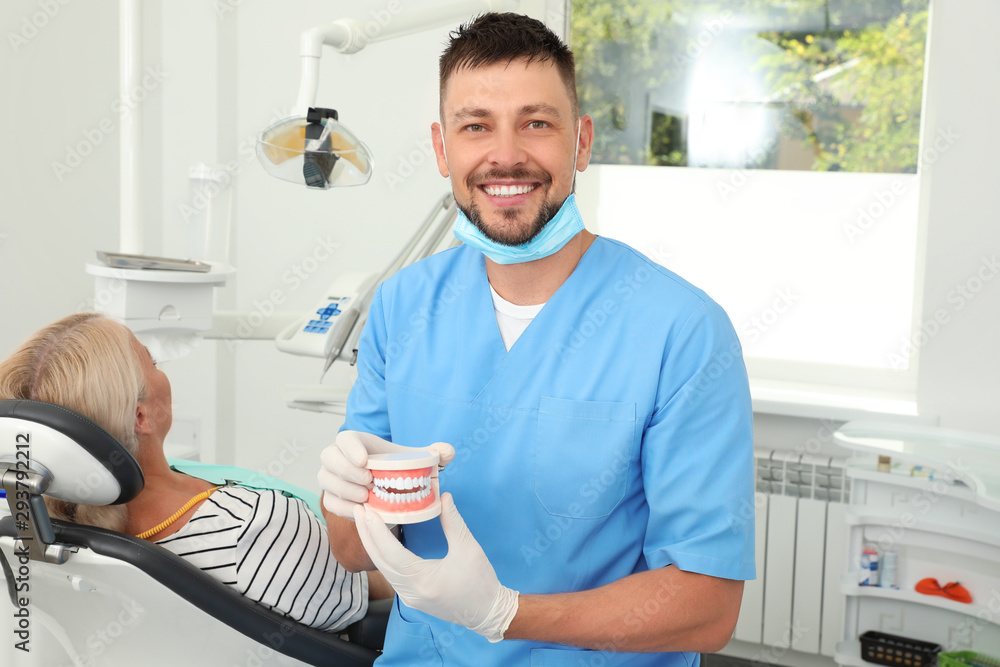 Sticker Professional dentist holding jaws model in clinic