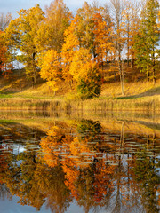 beautiful, gorgeous and colorful trees on an autumn day, wonderful autumn landscape with gorgeous and colorful trees by the water, beautiful reflections in the water