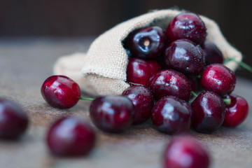 Fresh organic cherries in burlap sack