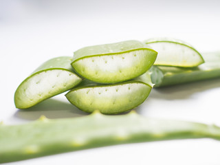 aloe vera star cactus slide Isolated on a white background