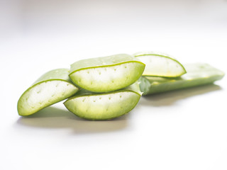 aloe vera star cactus slide Isolated on a white background