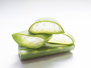 aloe vera star cactus slide Isolated on a white background