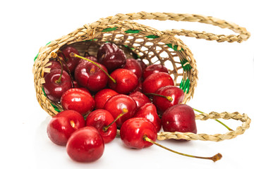 Basket of fresh sour cherries isolated on white