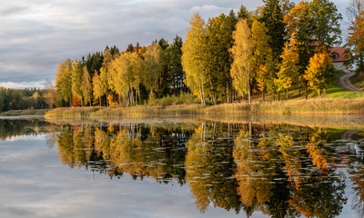 wonderful autumn landscape with gorgeous and colorful trees by the water, beautiful reflections in the water