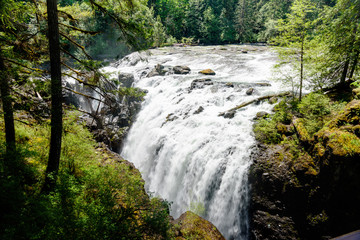 Cascading waterfall on island Vancouver, Englishman River Falls upper section, British Columbia