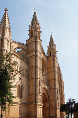 Fototapeta na wymiar Cathedral of Palma de Mallorca