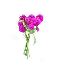 Fresh flowersisolated  on a white background.