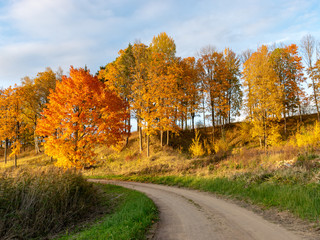 beautiful, gorgeous and colorful trees on an autumn day