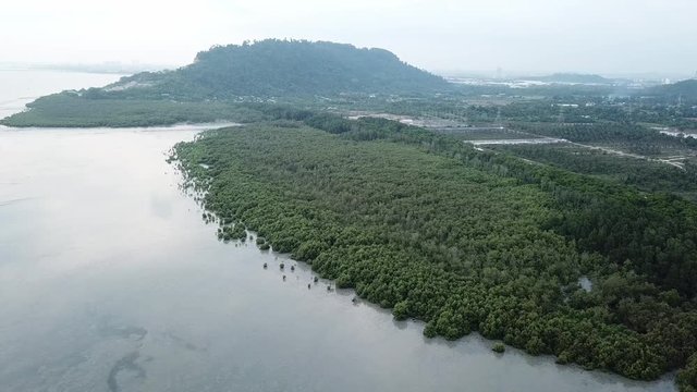 Aerial mangrove trees at Kuala Juru, Malaysia, Southeast Asia.