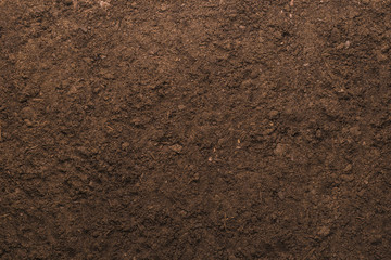 Soil texture background for gardening concept