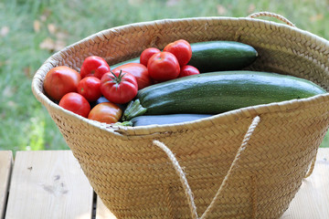 Panier osier de courgettes et de tomates du jardin