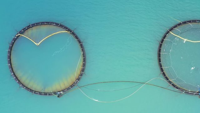 Aerial footage Farm salmon fishing in Norway
