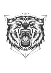 Bears collections - vector illustration on white background. Line art of roaring bear head.