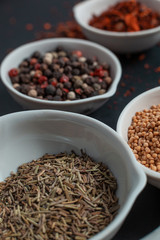 Paprika, mustard, caraway seeds and a mixture of peppercorns in white ceramic bowls next to the mortar isolated on black background