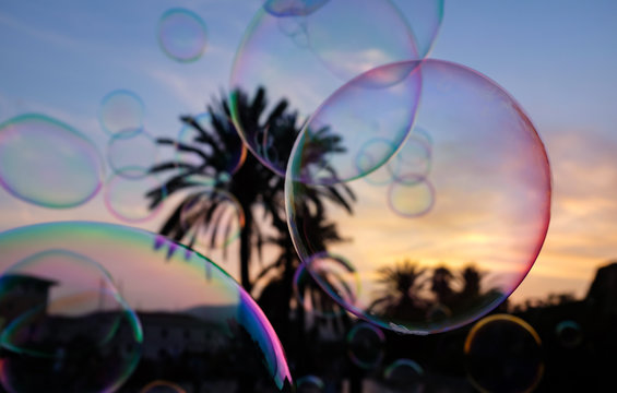 Seifenblasen Sonnenuntergang Farben Palme Mallorca irisieren Farben Regenbogen Kinder beliebt Riesenblasen Seife Sp&uuml;lmittel K&uuml;nstler Urlaub Belustigung Schwerelos schweben Reflex leichtigkeit