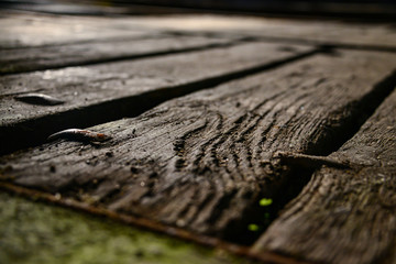 Bodenplanken Holz alt Boden Bohlen Maserung Struktur Hintergrund Gegenlicht Halle alt Lost Place Vintage Nostalgie Nägel Planken Dielen grob dunkel stabil Alterung Zerfall Abnutzung Perspektive