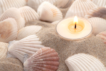 Wellness-Stillleben Muscheln mit Kerze © Petra Schueller