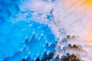 Abstract blurry psychedelic background. Lomography magic landscape. Trees against the sky. Soft...