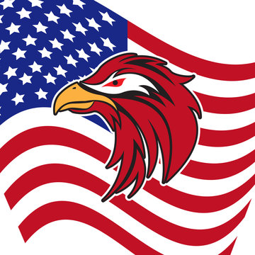 american eagle head vector image