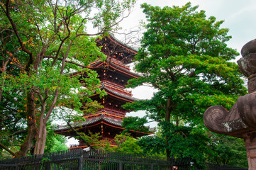 Tokyo, Japan, the famous landmark of Ueno Toshogu, the five-storied pagoda of Kuanyong Temple