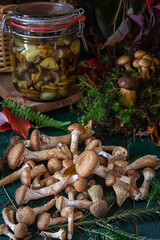 seasonal mushroom picking. Preparations for the winter, making homemade marinades. Marinated mushrooms in a glass jar standing on a wooden table with mushrooms. Forest in autumn.