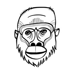 Orangutan face drawing. Line art black vector drawing. Totem animal, tattoo design, symbol. © Sonyara